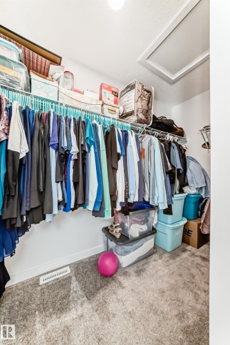 5167 Edgemont Boulevard, Edmonton, AB - Indoor With Storage