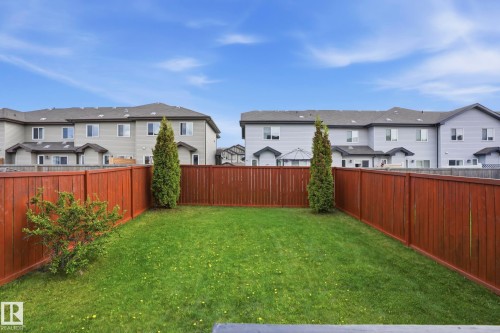 Expansive backyard featuring a green lawn, wood privacy fencing, and established evergreen plantings - 2917 16A Avenue, Edmonton, AB - Outdoor With Backyard