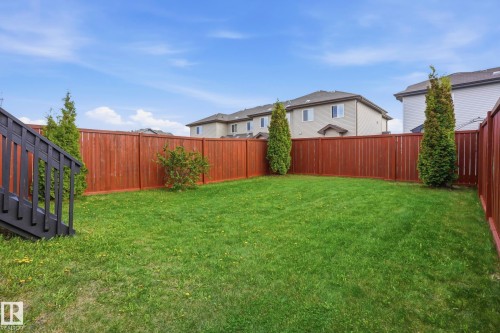 Expansive lawn area enclosed by a privacy fence, featuring mature evergreen trees and a dark-stained wooden stair railing - 2917 16A Avenue, Edmonton, AB - Outdoor
