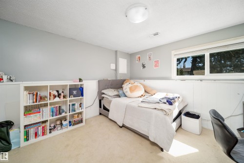 Carpeted room featuring a white built-in bookshelf, a large window, a ceiling-mounted light fixture, and light gray wall paint above white wainscoting - 14808 96 Street, Edmonton, AB - Indoor Photo Showing Bedroom