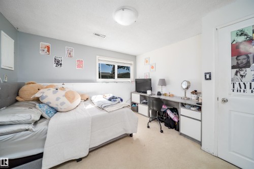 Carpeted room with a ceiling light fixture, a window with exterior views, and a two-tone wall finish - 14808 96 Street, Edmonton, AB - Indoor