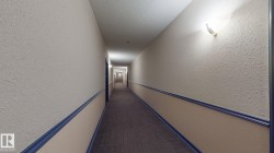 Long interior corridor featuring wall-mounted lighting fixtures, textured walls with a two-tone paint scheme, and a patterned carpet runner - 