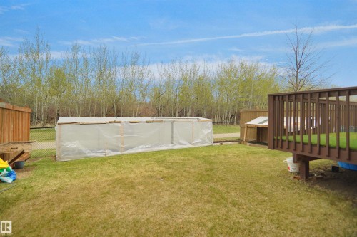 Expansive backyard featuring a fenced perimeter, a raised wooden deck with railings, and a greenhouse structure - 6108 173 Ave, Edmonton, AB 