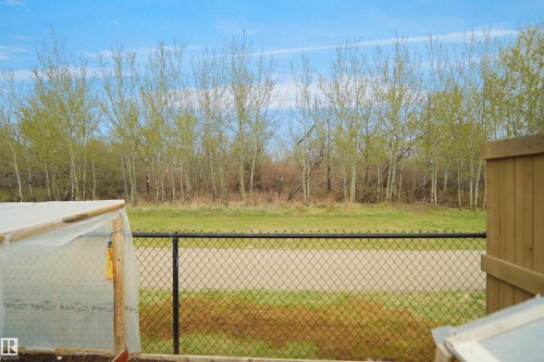 Expansive green space and mature trees bordering the property, secured by a black chain-link fence - 6108 173 Ave, Edmonton, AB 