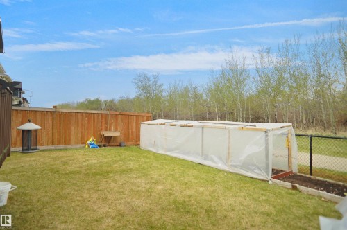 Expansive grassy yard featuring a wood fence, a chain-link fence, and a long cold frame structure - 6108 173 Ave, Edmonton, AB 