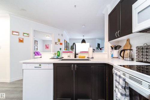 303 9938 104 Street, Edmonton, AB - Indoor Photo Showing Kitchen