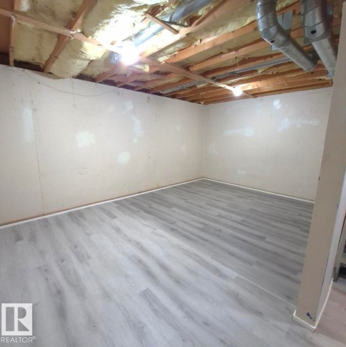 1312 Lakewood Road W, Edmonton, AB - Indoor Photo Showing Basement