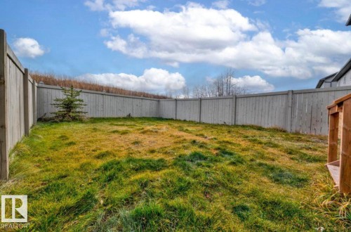 Expansive fenced backyard featuring a uniform privacy fence, existing evergreen tree, and a small built-in wooden structure - 243 39 Avenue Nw, Edmonton, AB - Outdoor
