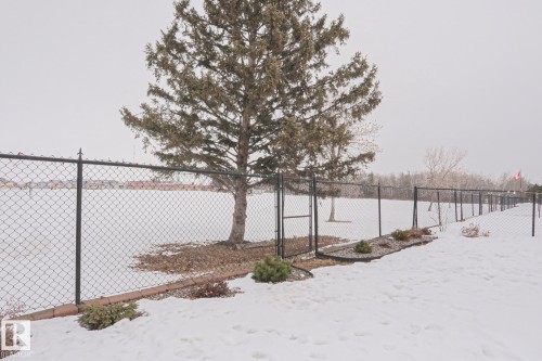 53 Newport Crescent, St. Albert, AB - Outdoor
