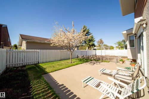 Private backyard featuring a concrete patio, a manicured lawn, a flowering tree, and a white picket fence - 8509 39B Avenue, Edmonton, AB - Outdoor