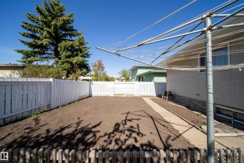 Rear yard featuring a white picket fence, a large evergreen tree, and a concrete pathway along the side of the property - 8509 39B Avenue, Edmonton, AB - Outdoor