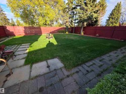 Expansive backyard featuring a large lawn area, a red privacy fence, and mature evergreen trees - 