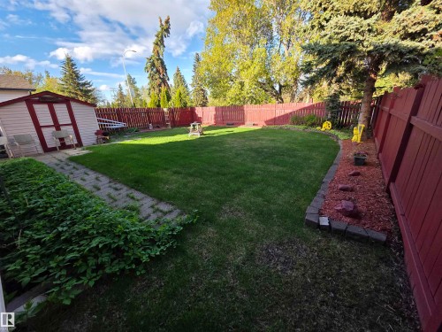 Expansive backyard featuring a manicured lawn, red privacy fencing, a storage shed, a stone paver pathway, and mature trees - 25 Mcnabb Crescent, Stony Plain, AB - Outdoor