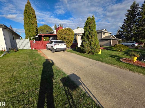 Single-family residence with a concrete driveway, established front lawn, mature evergreen trees, and a red-painted privacy fence - 25 Mcnabb Crescent, Stony Plain, AB - Outdoor