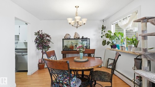 Dining area featuring wood-finish flooring, a multi-bulb chandelier, and a bright window with a deep sill - 105 5125 Riverbend Road, Edmonton, AB - Indoor Photo Showing Dining Room