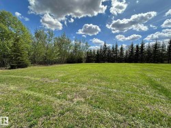 Expansive grassy area featuring a perimeter of mature deciduous and evergreen trees under a bright, cloudy sky - 
