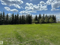 Expansive green lawn with a tree line border featuring evergreen and deciduous trees - 