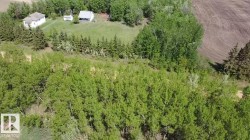 Expansive property featuring verdant tree coverage and open land - 