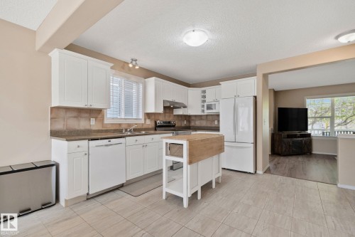 15608 44 Street, Edmonton, AB - Indoor Photo Showing Kitchen With Double Sink