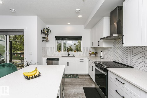 9737 101 Street, Edmonton, AB - Indoor Photo Showing Kitchen With Upgraded Kitchen