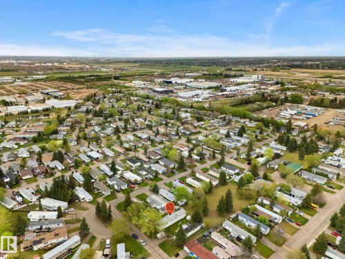 Aerial perspective showcasing a residential community with abundant mature trees and individual properties - 49 Rim Road Nw, Edmonton, AB - Outdoor With View