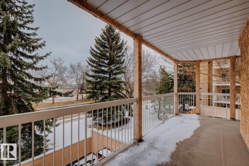 The property features a balcony with a white railing and a view of evergreen trees and other buildings - 202 17511 98A Avenue, Edmonton, AB - Outdoor With Balcony With Exterior