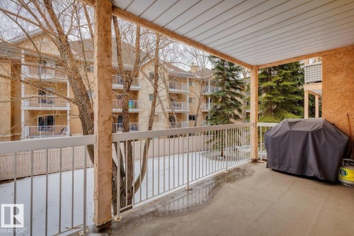 The private balcony features a concrete floor and a white metal railing, offering a view of mature trees and other residential buildings - 202 17511 98A Avenue, Edmonton, AB - Outdoor With Balcony With Exterior