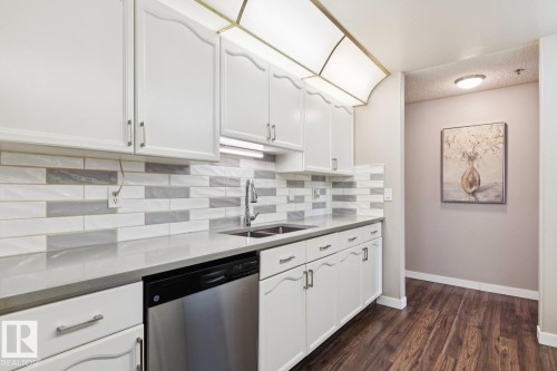 The kitchen features white cabinetry, a stainless steel dishwasher, a dual-basin sink with a gooseneck faucet, and a subway tile backsplash - 202 17511 98A Avenue, Edmonton, AB - Indoor Photo Showing Kitchen With Double Sink