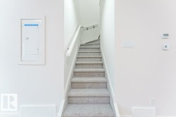 Carpeted staircase with white risers and a white handrail - 