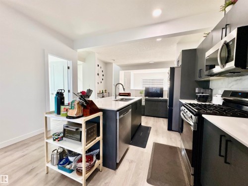 1203 Eaton Lane, Edmonton, AB - Indoor Photo Showing Kitchen With Stainless Steel Kitchen With Upgraded Kitchen
