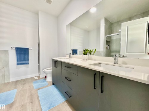 1203 Eaton Lane, Edmonton, AB - Indoor Photo Showing Bathroom