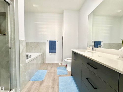 1203 Eaton Lane, Edmonton, AB - Indoor Photo Showing Bathroom