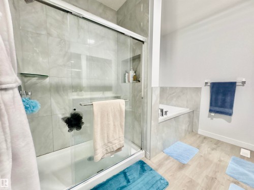 1203 Eaton Lane, Edmonton, AB - Indoor Photo Showing Bathroom