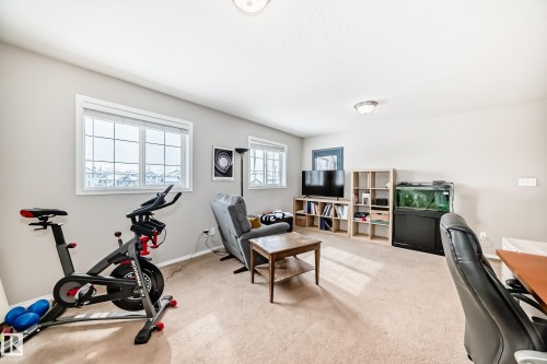 3132 33 Avenue, Edmonton, AB - Indoor Photo Showing Gym Room
