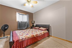 Carpeted room with a ceiling fan light fixture, a window with wood trim, and two-tone wall paint - 