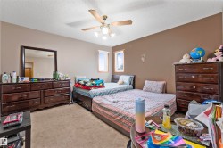 Carpeted room featuring a ceiling fan with light fixture, two windows providing natural light, and neutral wall tones - 