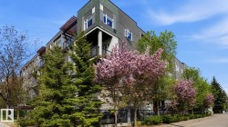 200 8525 91 Street  Edmonton, AB T6C 3N1