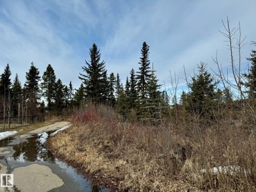 Nearby Ravine trails - 1 103 Allard Link, Edmonton, AB - Outdoor With View