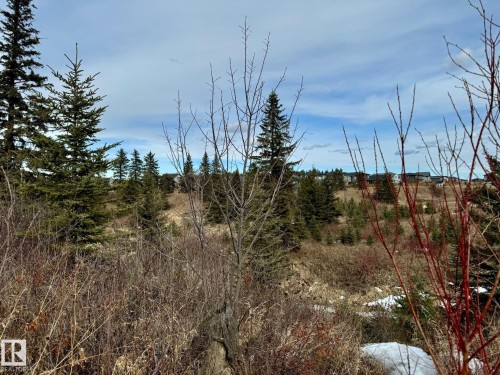 1 103 Allard Link, Edmonton, AB - Outdoor With View