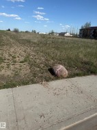 Expansive undeveloped lot featuring a concrete sidewalk and natural grass cover - 