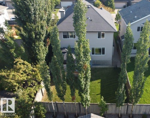 Expansive rear yard featuring a manicured lawn, established privacy trees, and a wooden perimeter fence - 1206 Mckinney Court, Edmonton, AB - Outdoor