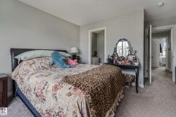 Carpeted room with light gray walls and white trim - 
