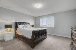 Bedroom featuring neutral gray wall paint, light-colored carpet flooring, a single window with horizontal blinds, and a ceiling-mounted light fixture - 