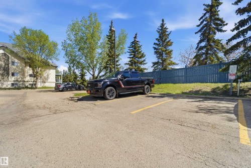 Paved parking area with yellow line markings, bordered by a blue privacy fence and mature evergreen trees - 302 2508 50 Street Nw, Edmonton, AB - Outdoor