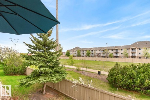 Private outdoor space featuring a dark green patio umbrella, mature evergreen trees, and a wooden fence - 220 16303 95 Street, Edmonton, AB - Outdoor With Balcony