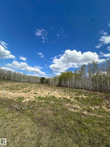 Expansive land parcel featuring open terrain and a surrounding line of deciduous trees - #41 59419 Rge Rd 240, Rural Westlock County, AB - Outdoor With View