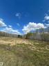 Expansive land parcel featuring open terrain and a surrounding line of deciduous trees - #41 59419 Rge Rd 240, Rural Westlock County, AB  - Outdoor With View 