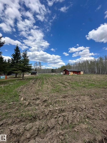 Cultivated land with visible rows, bordered by mature evergreen trees and deciduous trees - #41 59419 Rge Rd 240, Rural Westlock County, AB - Outdoor With View