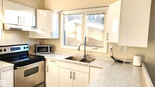 4709 106 Street, Edmonton, AB - Indoor Photo Showing Kitchen With Double Sink