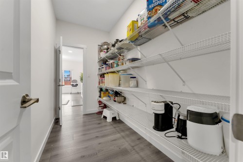 Spacious walk-in pantry featuring extensive wire shelving for organization - 22534 98A Avenue, Edmonton, AB - Indoor With Storage